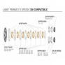 Kazeta na želanie Shimano 11 st. - Pastorok poz. 3 až 10 (13 - 28 z.)