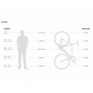 Single Speed bicykel Aventon Cordoba (Cool Smoke)